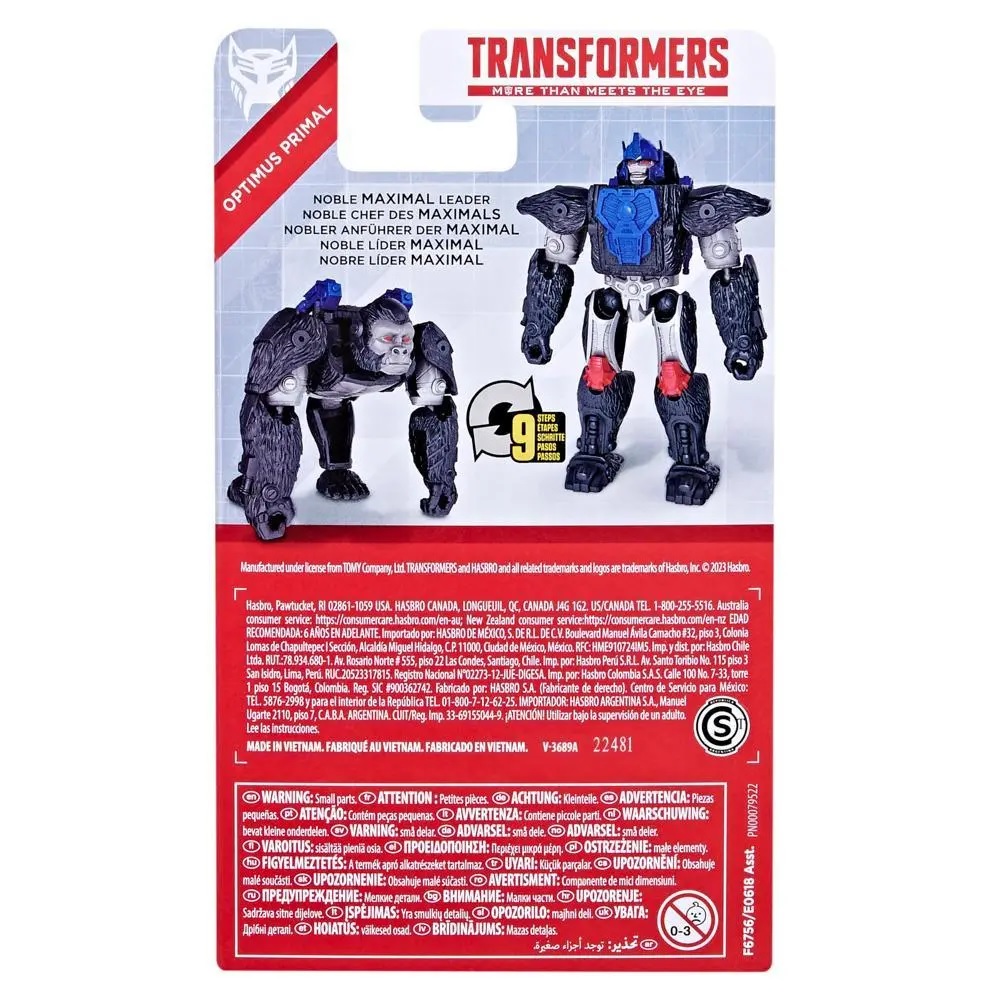 In Box (Back)